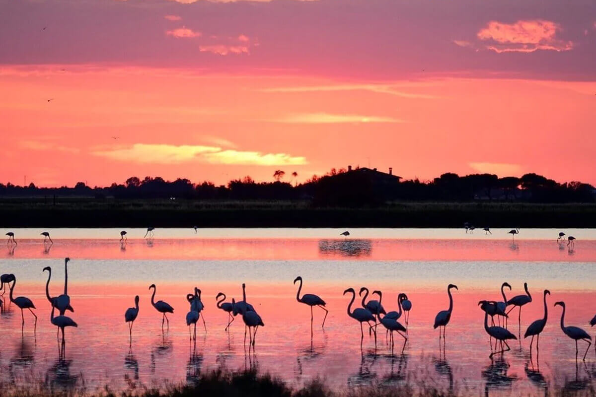 Residence Riz Cervia